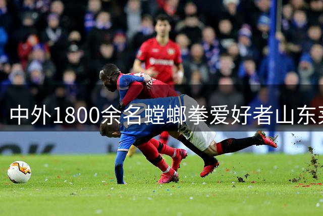 中外1800余名螳螂拳爱好者山东莱阳以武会友