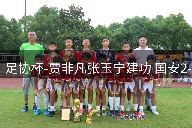 足协杯-贾非凡张玉宁建功 国安2-1大连可为晋级8强